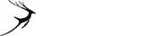 超值优惠的ddos在线攻击